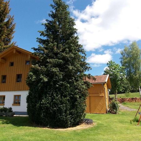 Lovely Holiday Home In Viechtach Near The Forest Kültér fotó